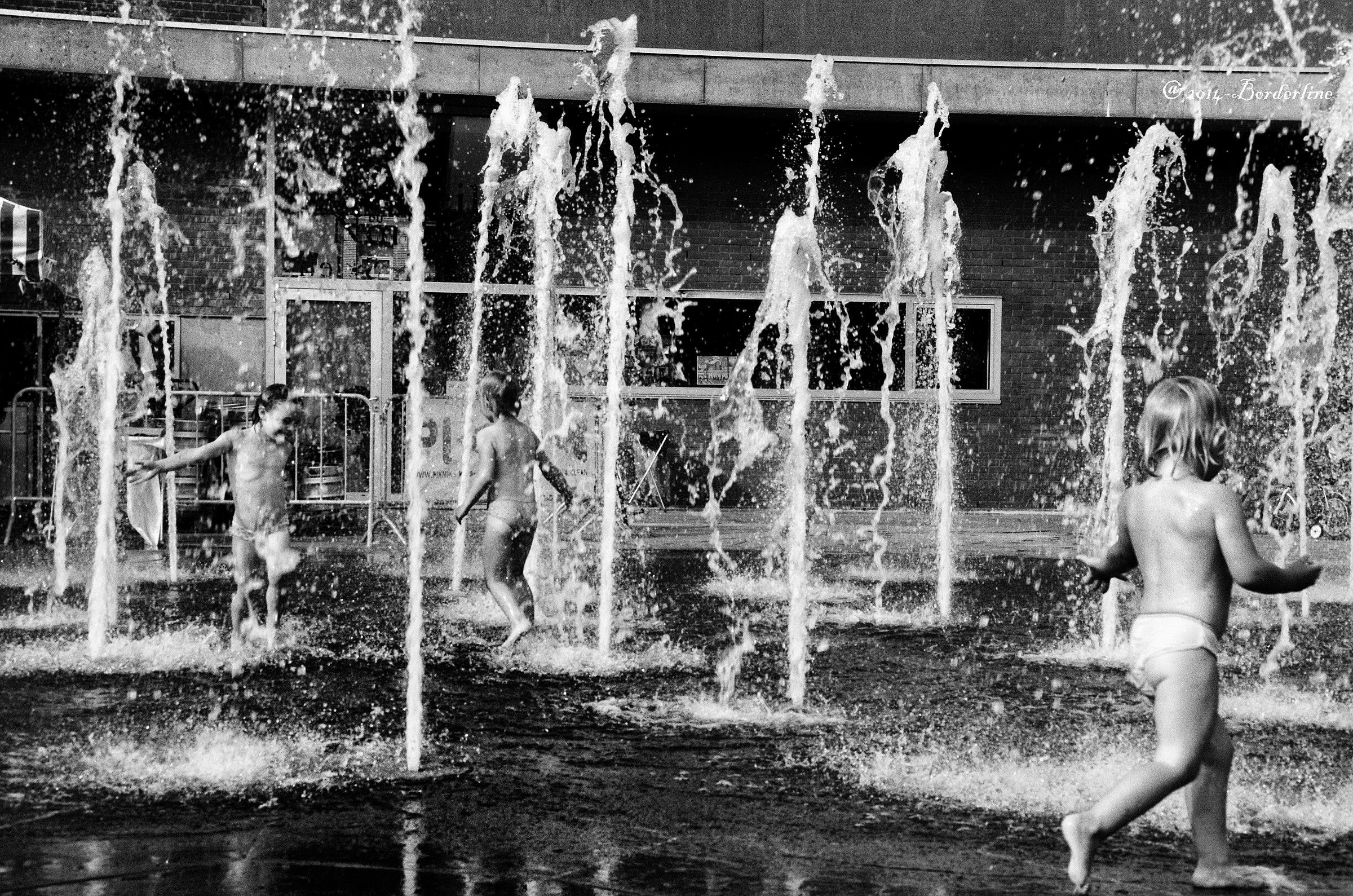 la grammatica dei gatti. somewhere in bruxelles