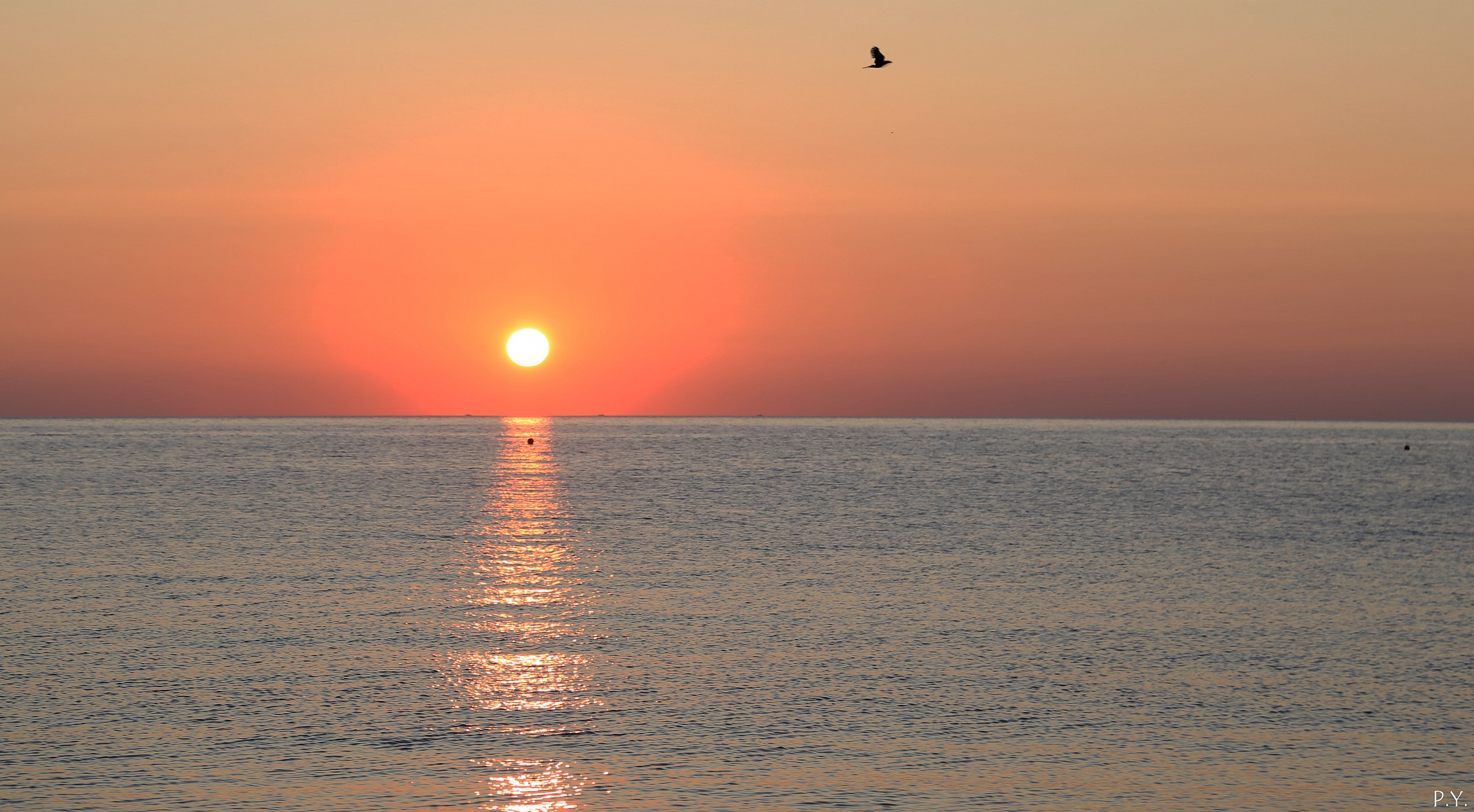 Alba Spiaggia di San Michele