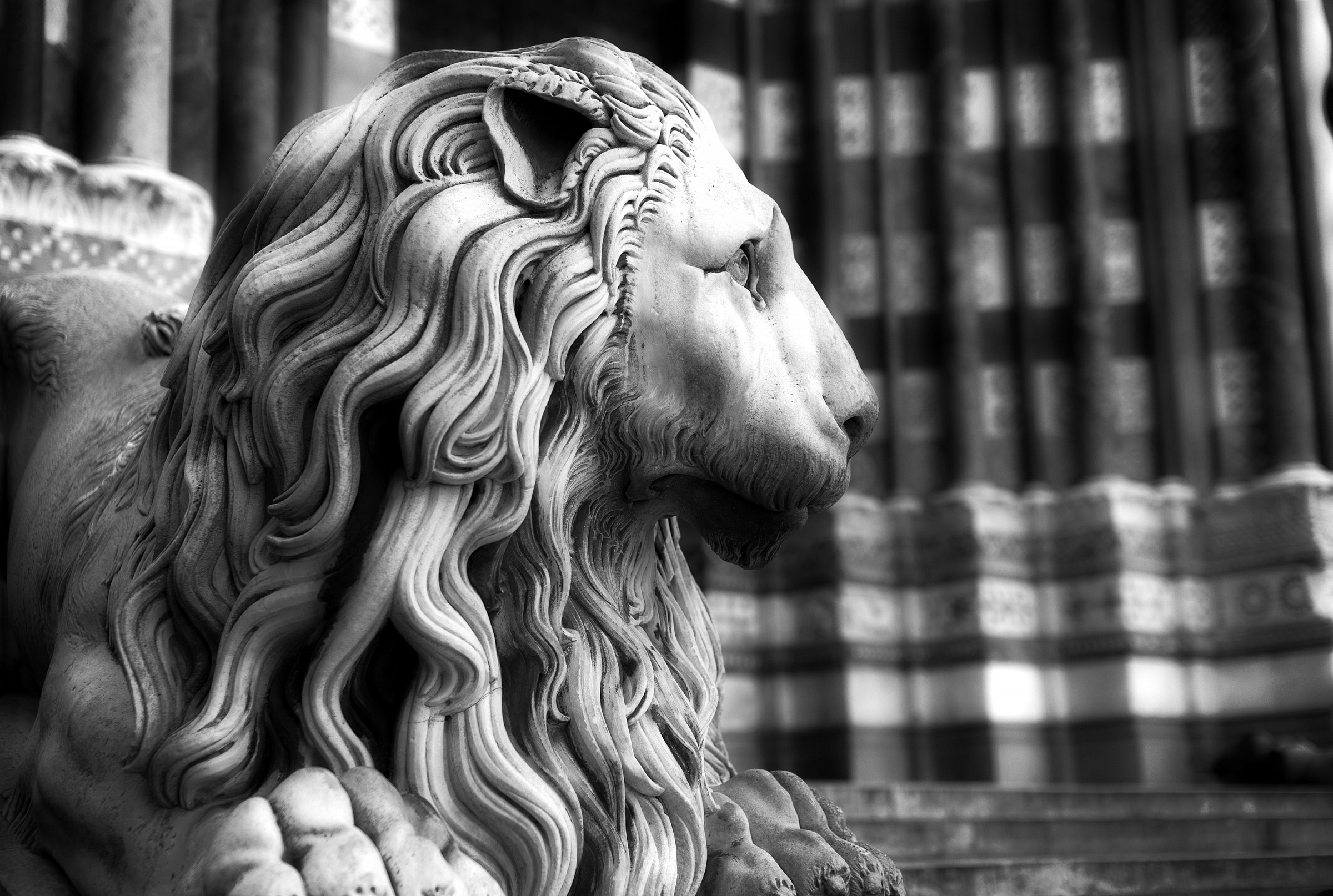 Piazza San Lorenzo in Genoa