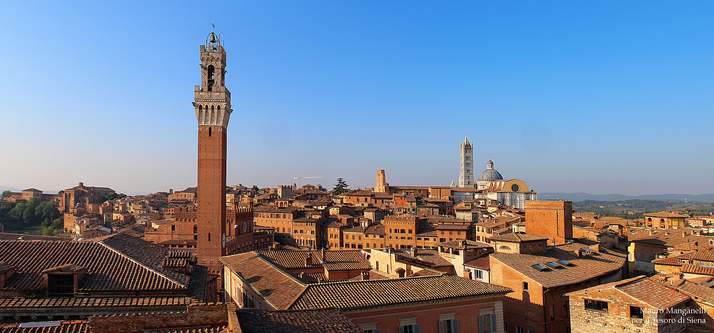 Siena from the Tower of the Rector