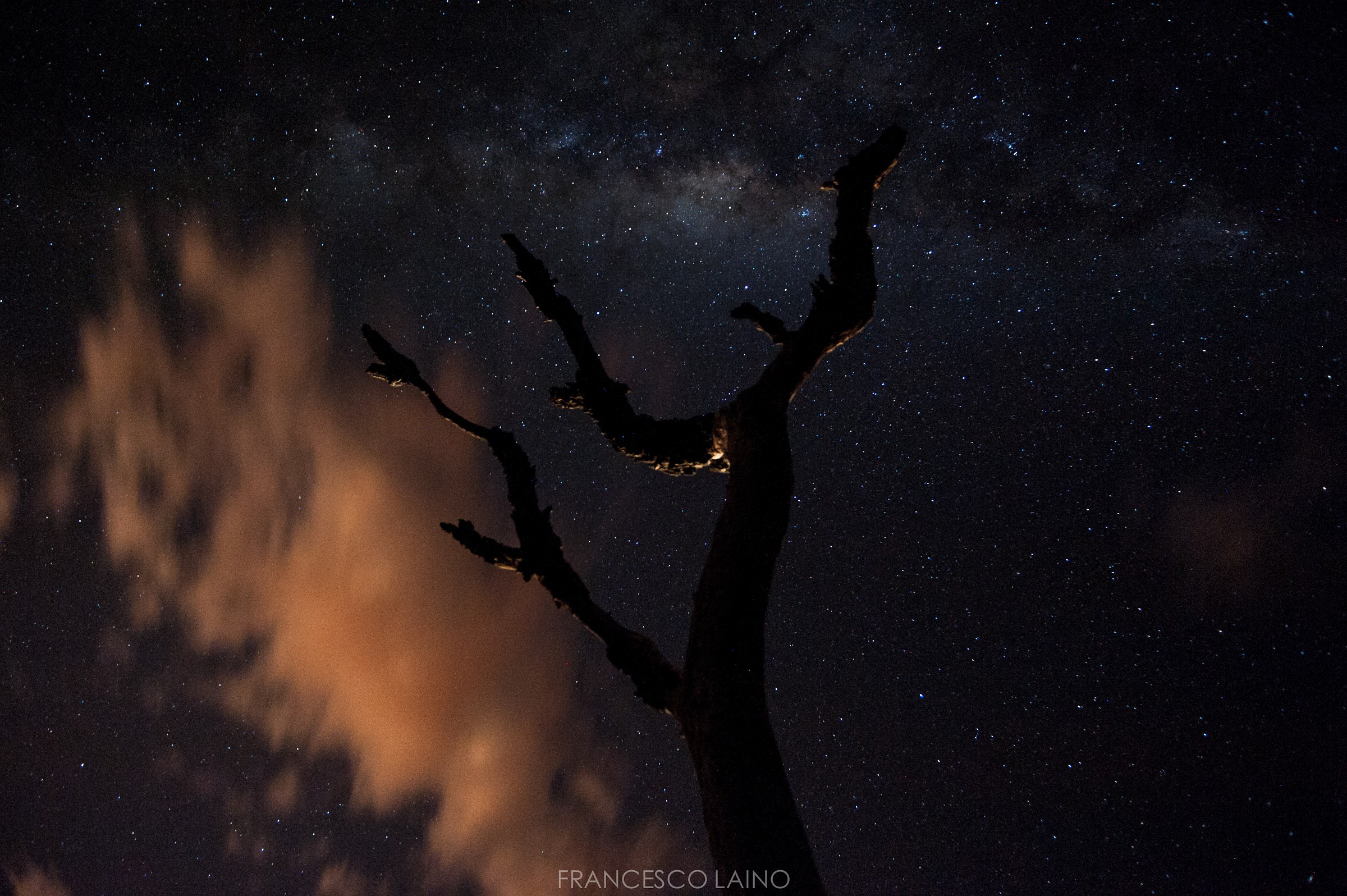 Cerrado, minas gerais, brazil.