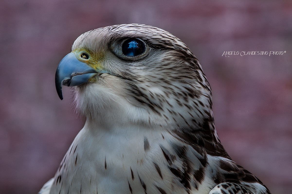 I do not look bad ... Please !!!