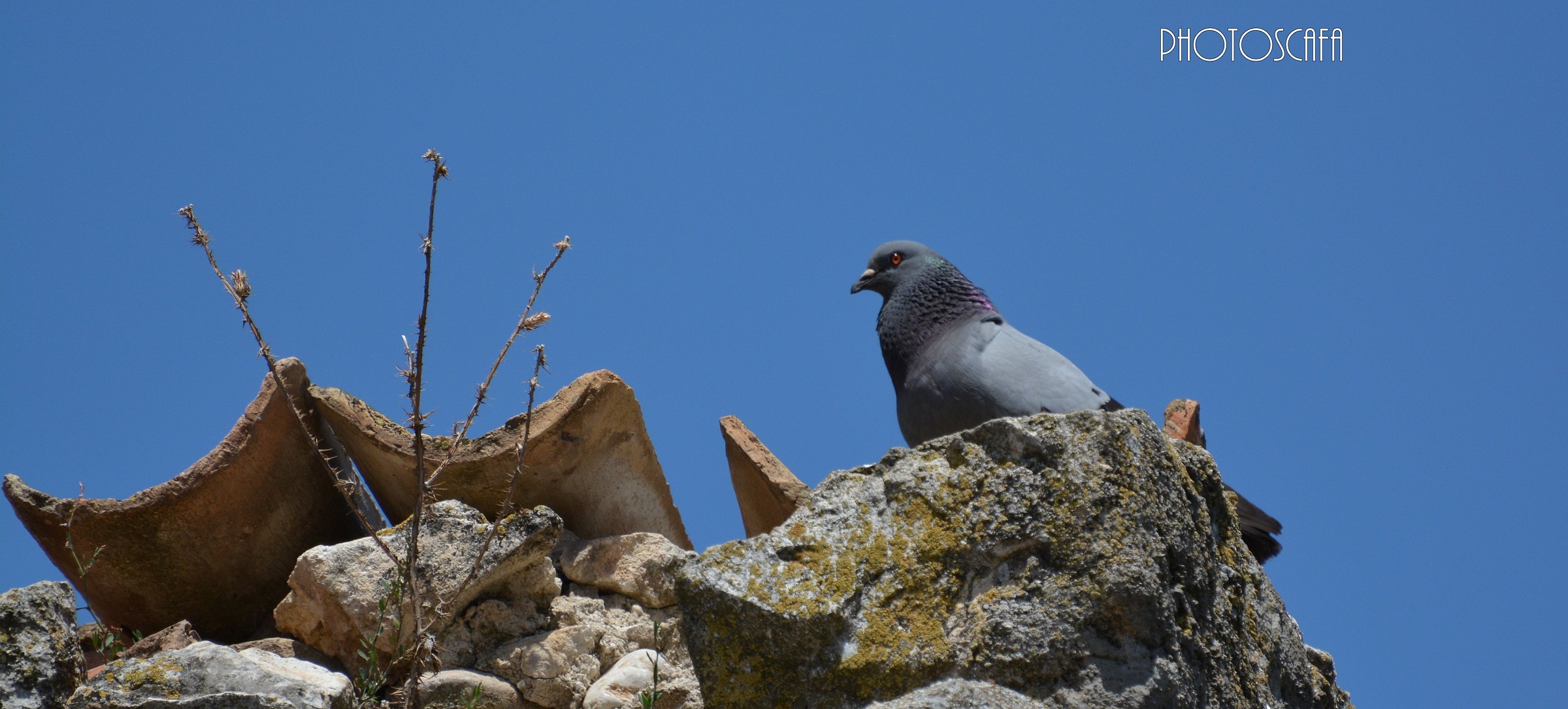 Roof of Abruzzo