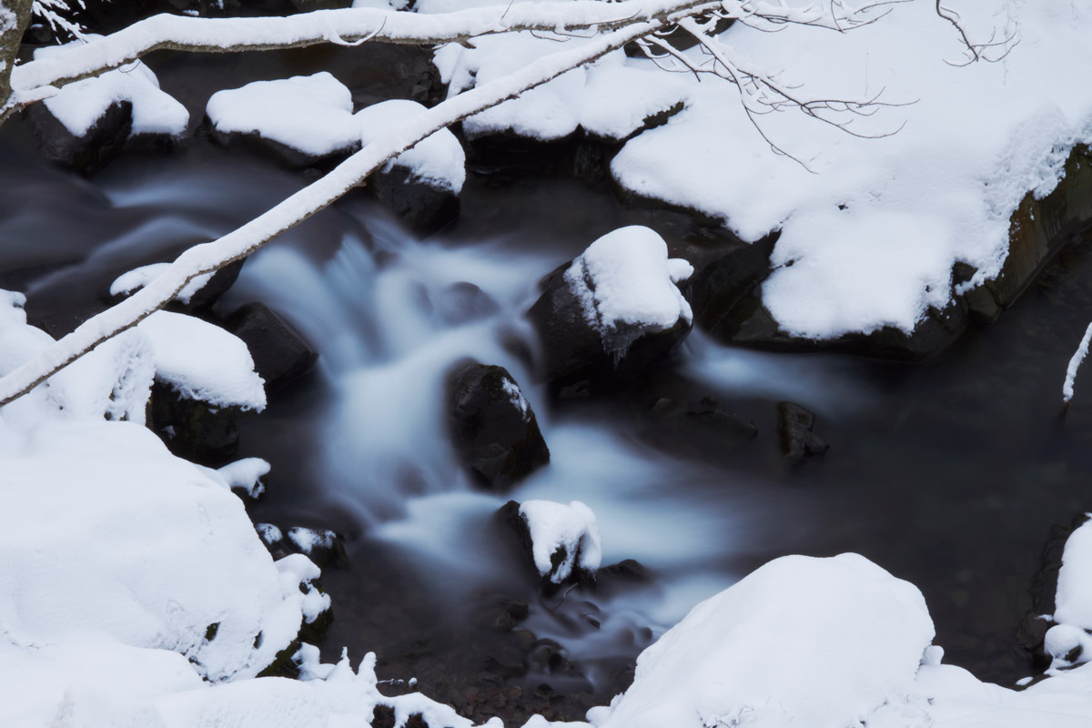 Passeggiata alle cascate del Dardagna