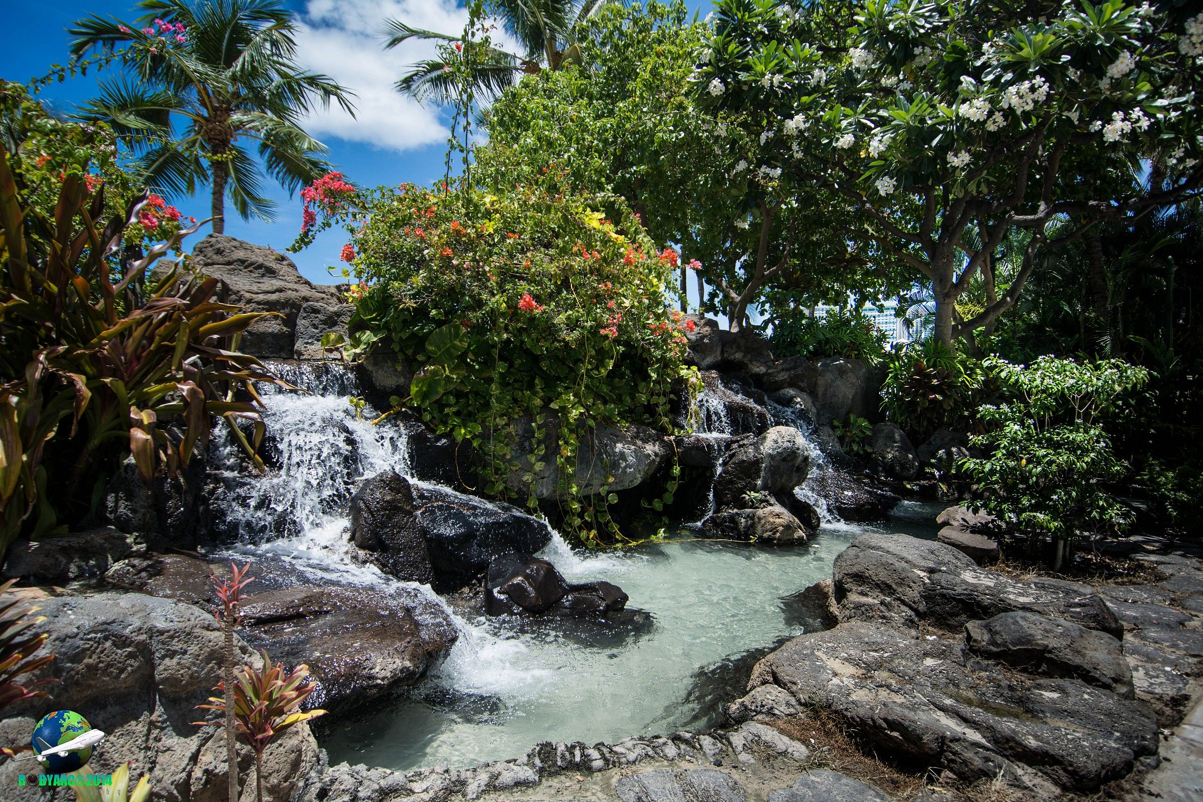 Honolulu: Natura in Città