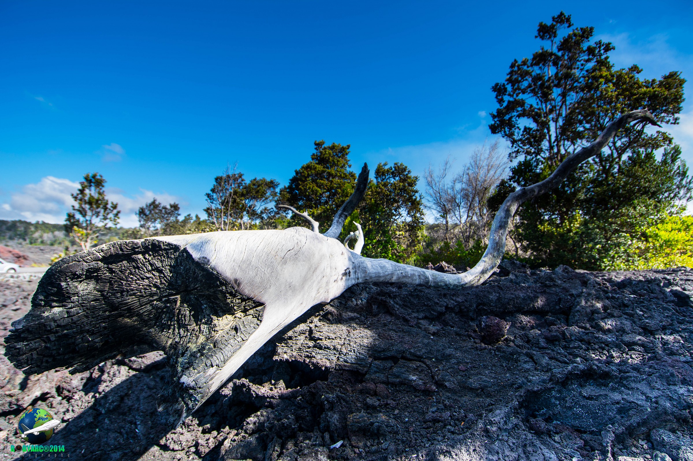 Big Island: La forza della natura