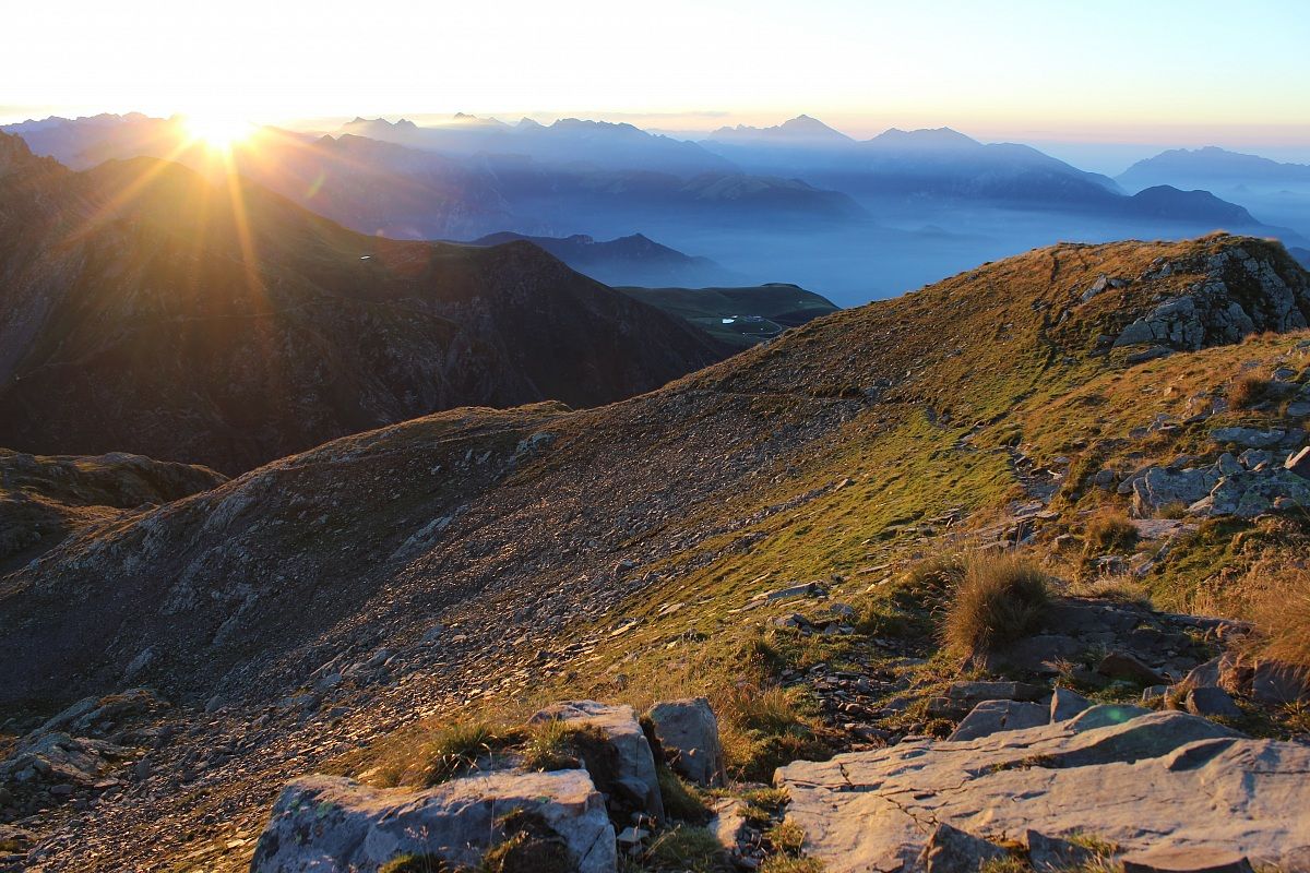 View cross (rif.Benigni)