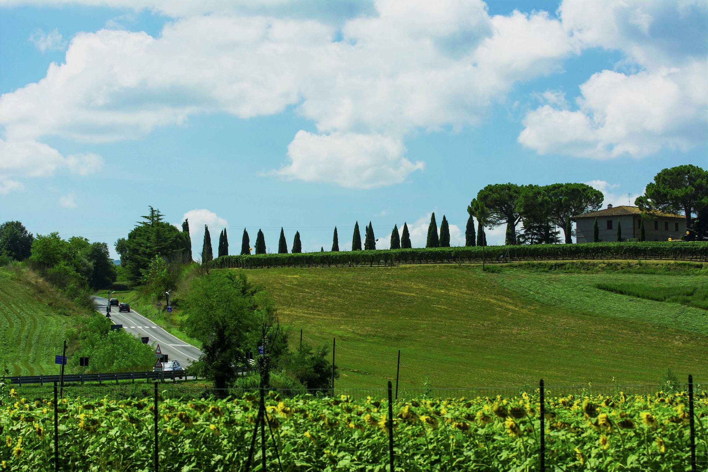 Cassia in the Val d'Orcia