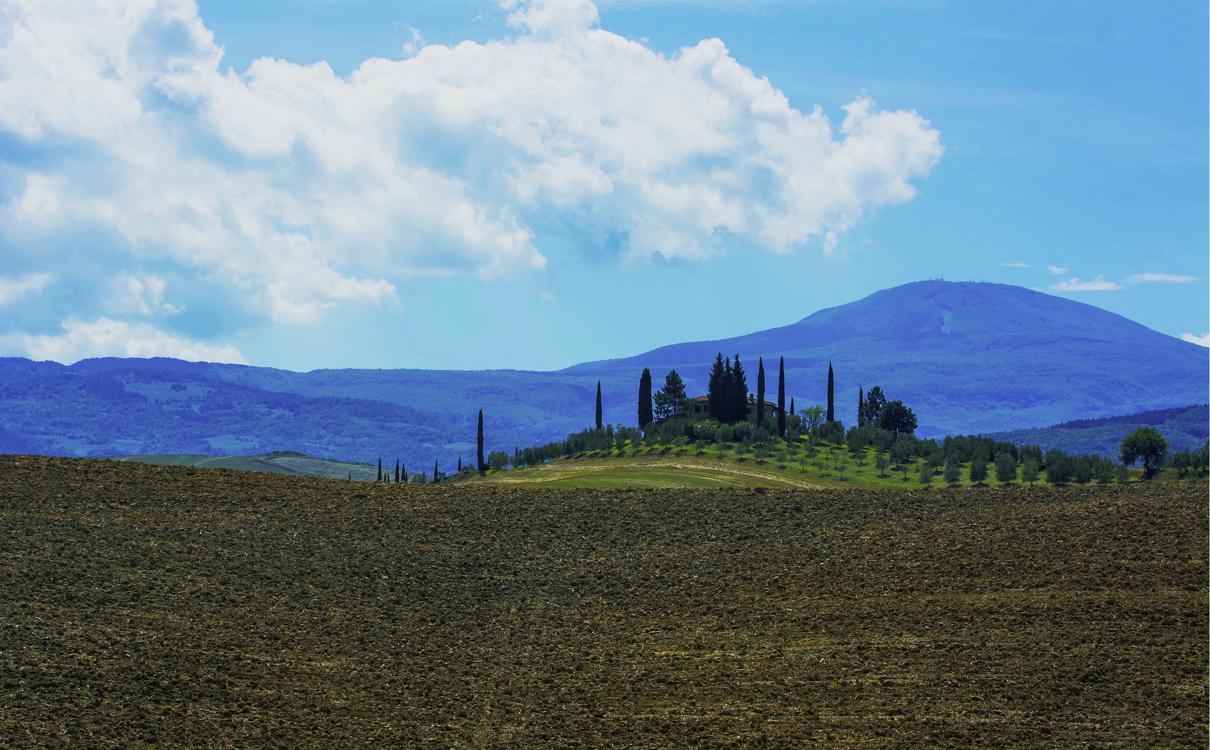 Cassia in the Val d'Orcia