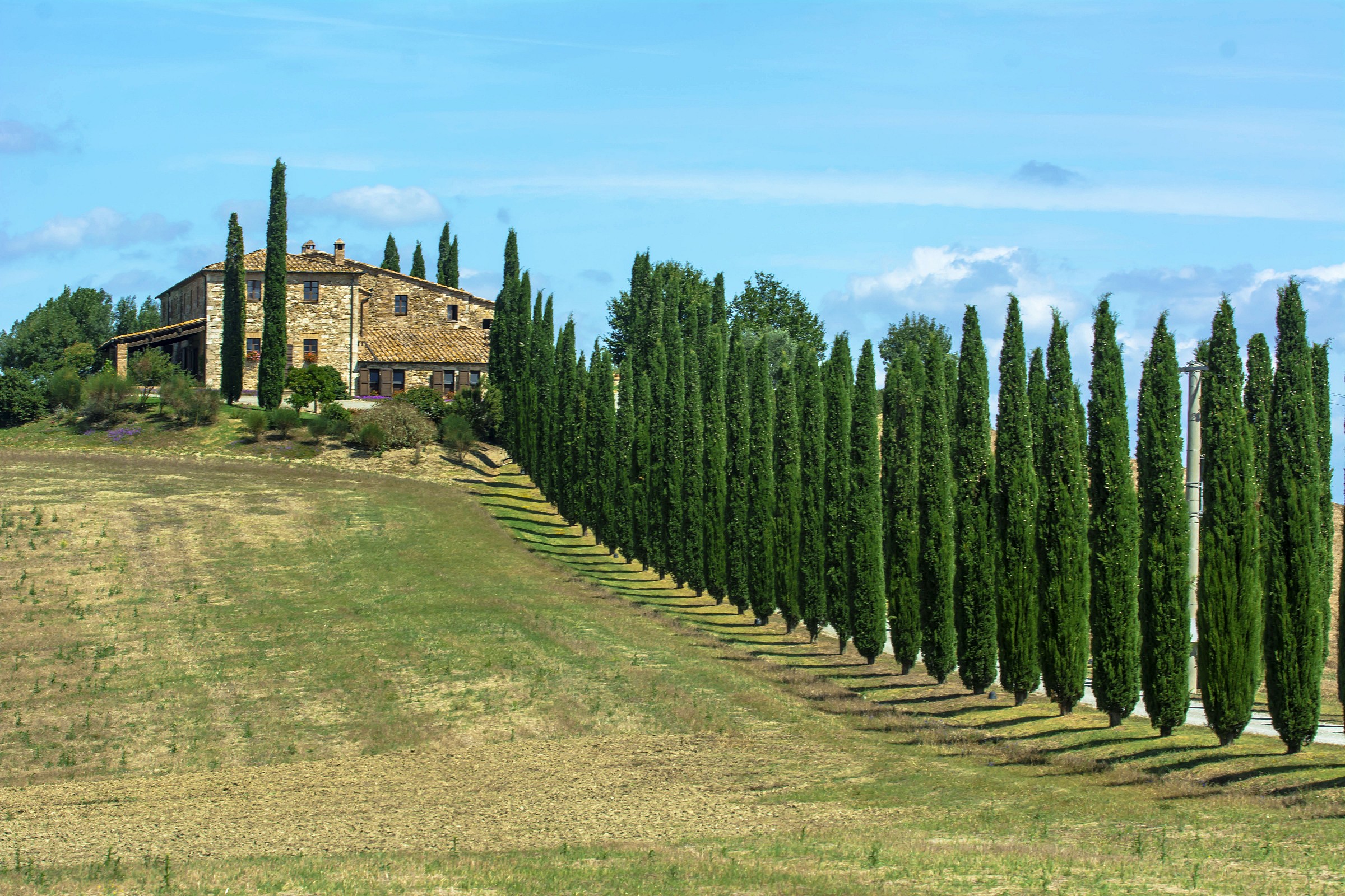 Cassia in the Val d'Orcia