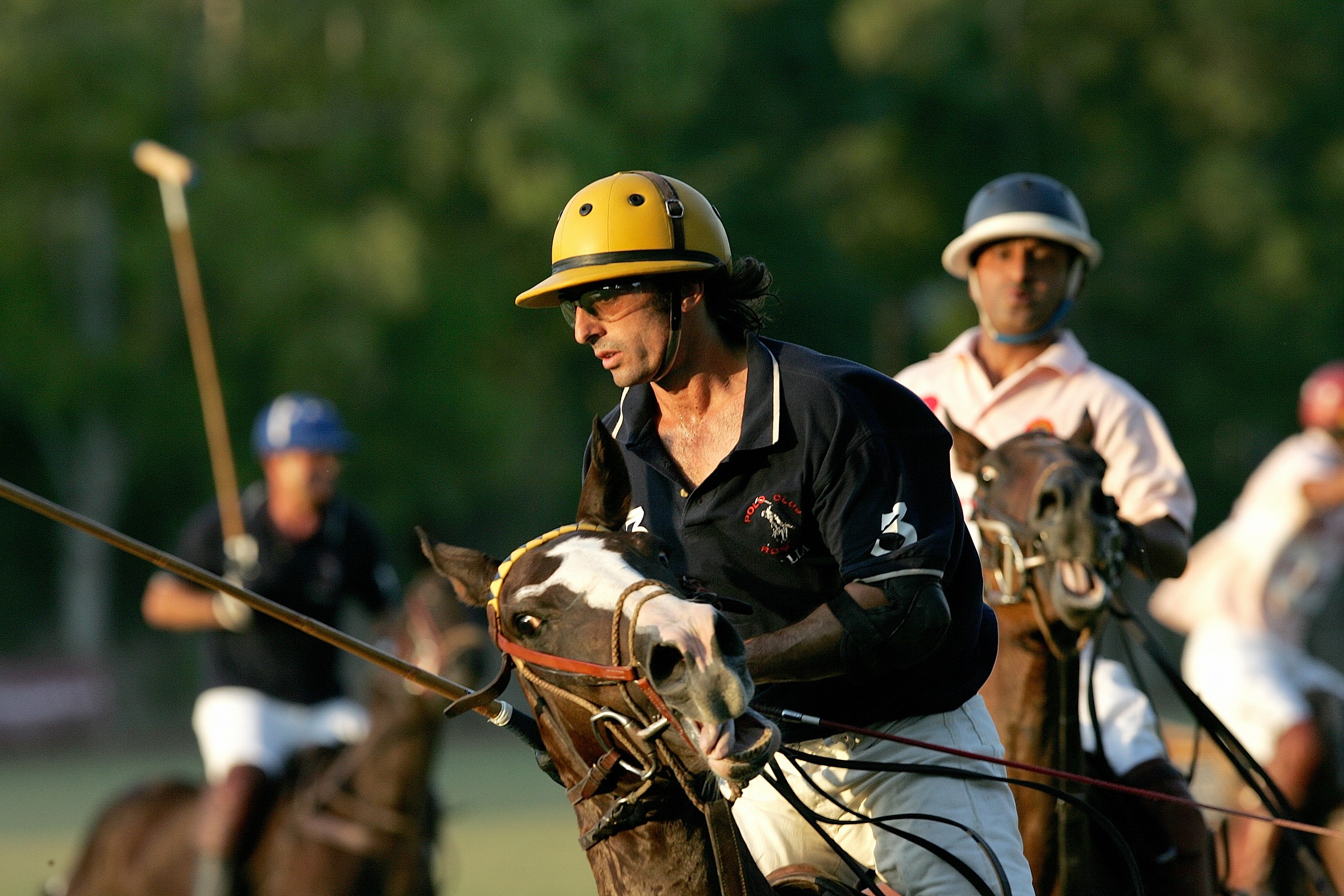 Polo e Cavallo