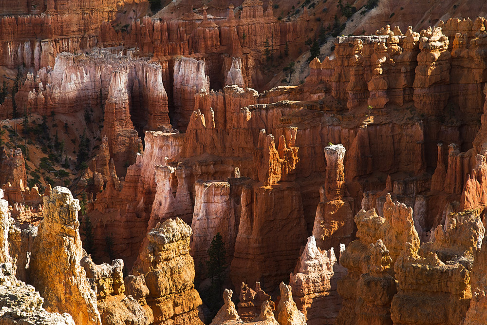 Bryce canyon