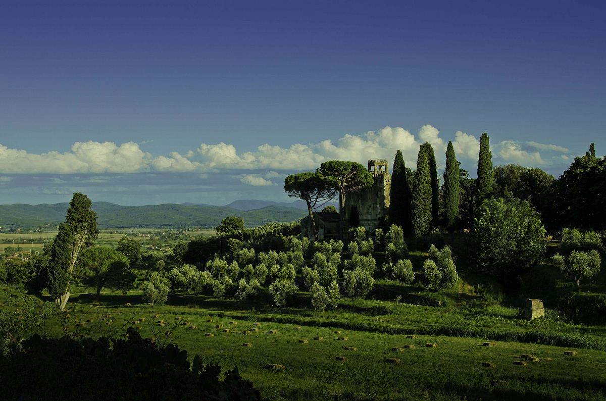 Castle Green (Suvereto-Campiglia Marittima)