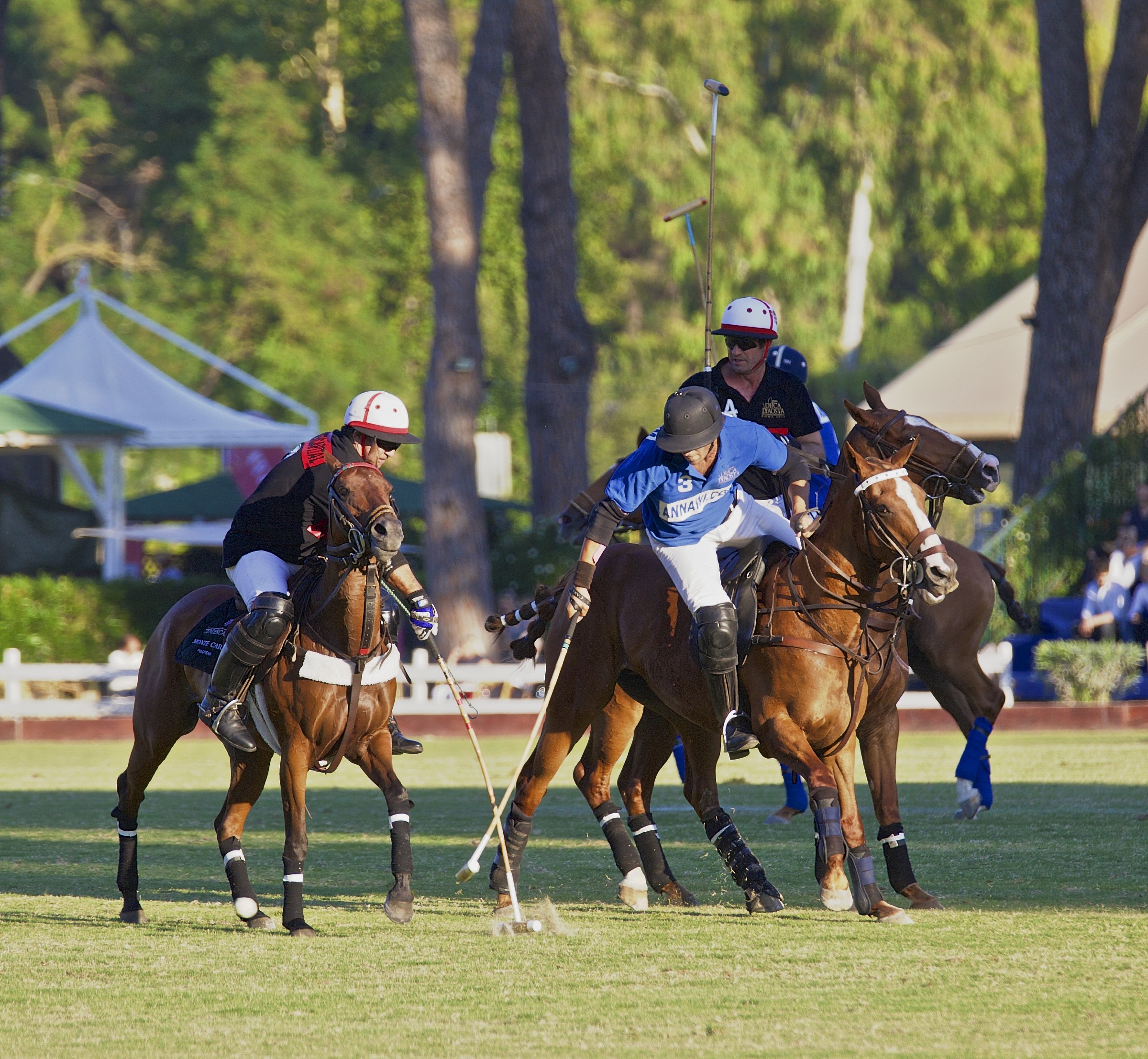 Polo e Cavallo