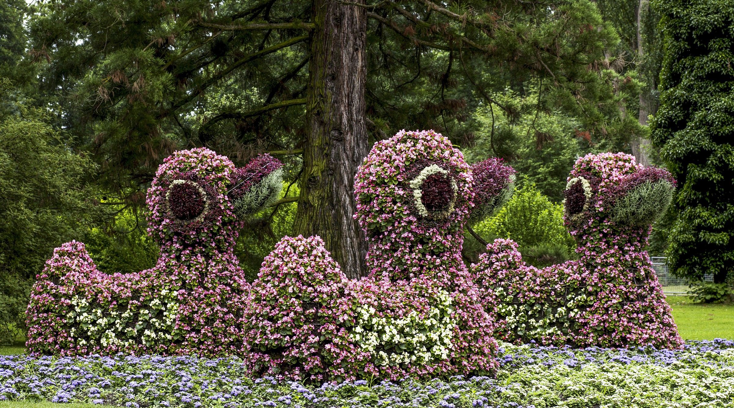 Gardens Isle of Mainau