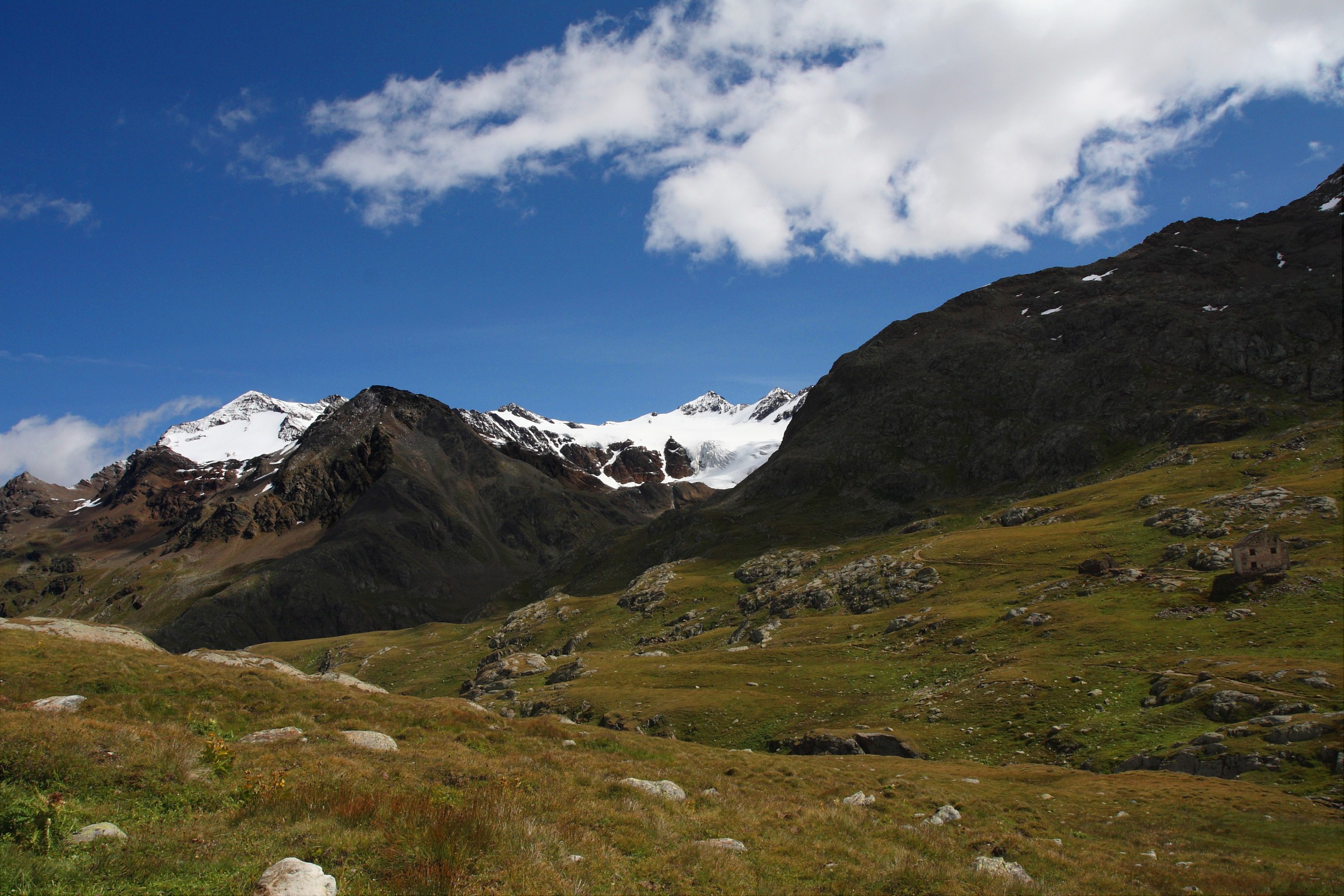 Ghiaciao - Passo di Gavia