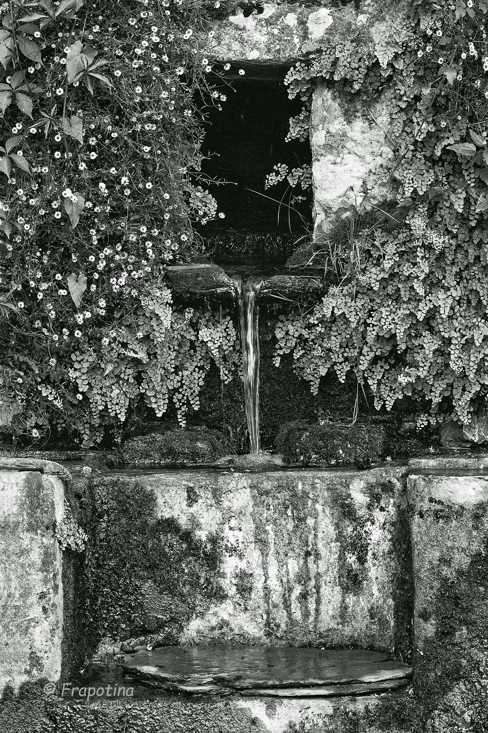 Fonte di Acqua Buona