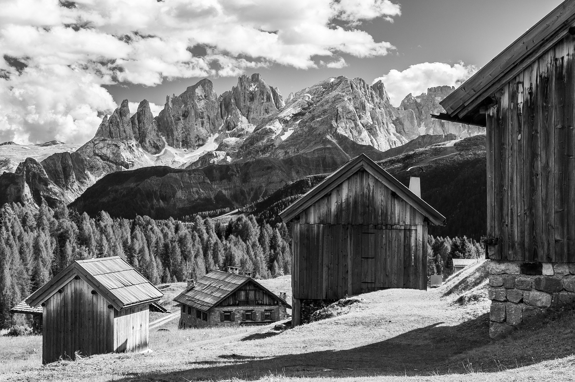 Sopra Falcade, le più belle... Le alte cime del Focob...
