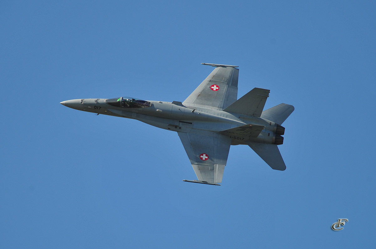 Swiss Hornet F18