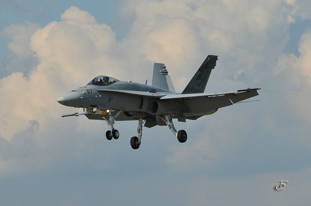 Swiss Hornet F18