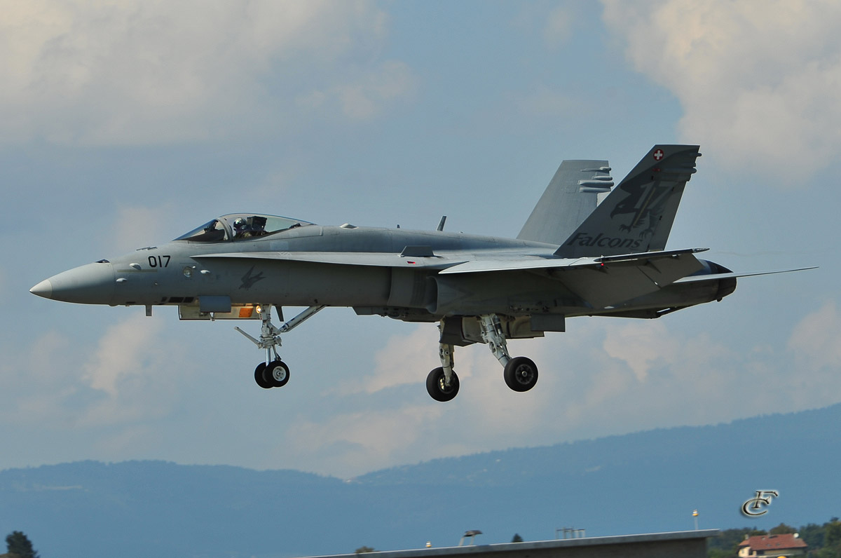 Swiss Hornet F18