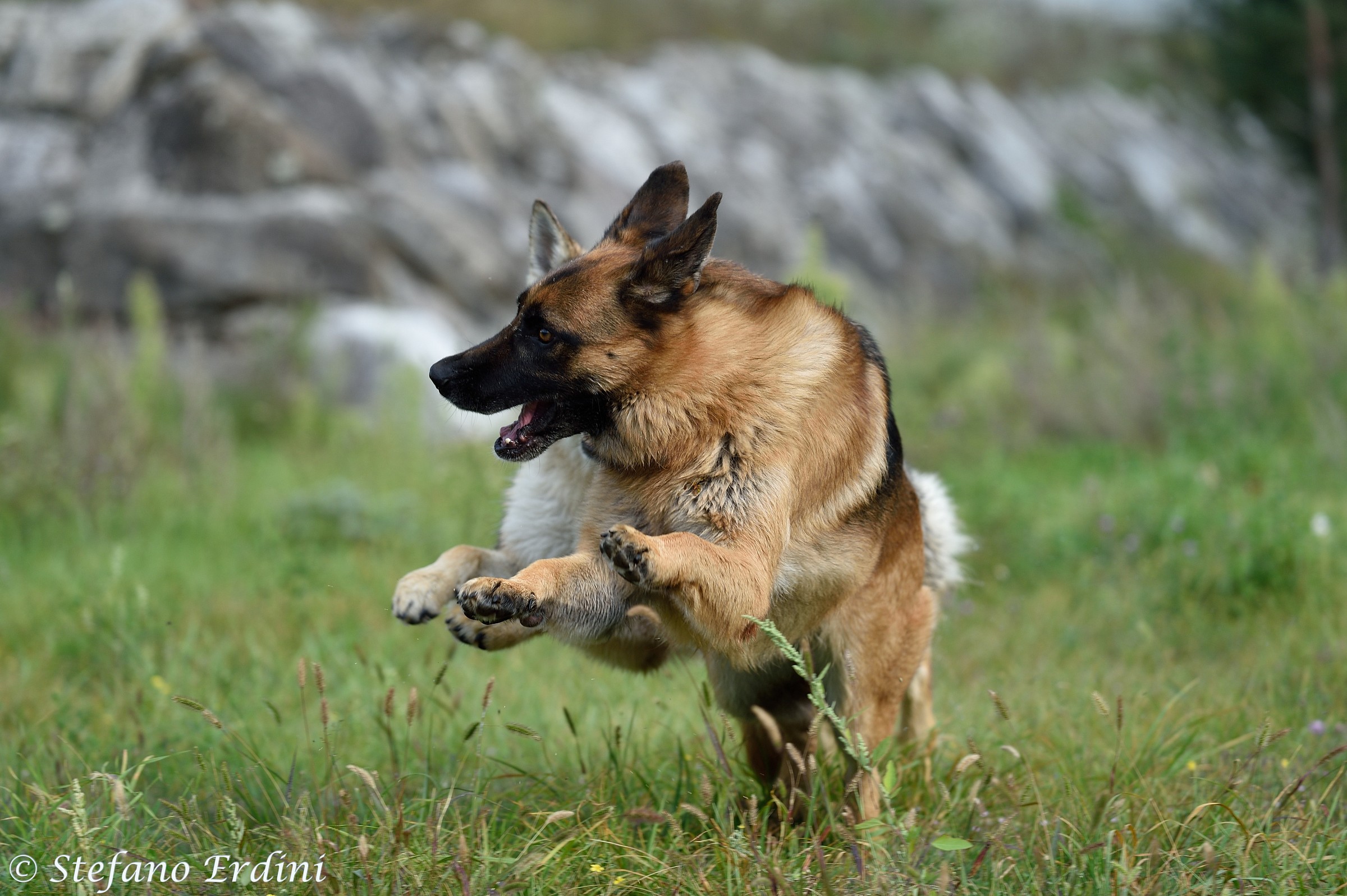 Tessa e Yuma corse sfrenate II