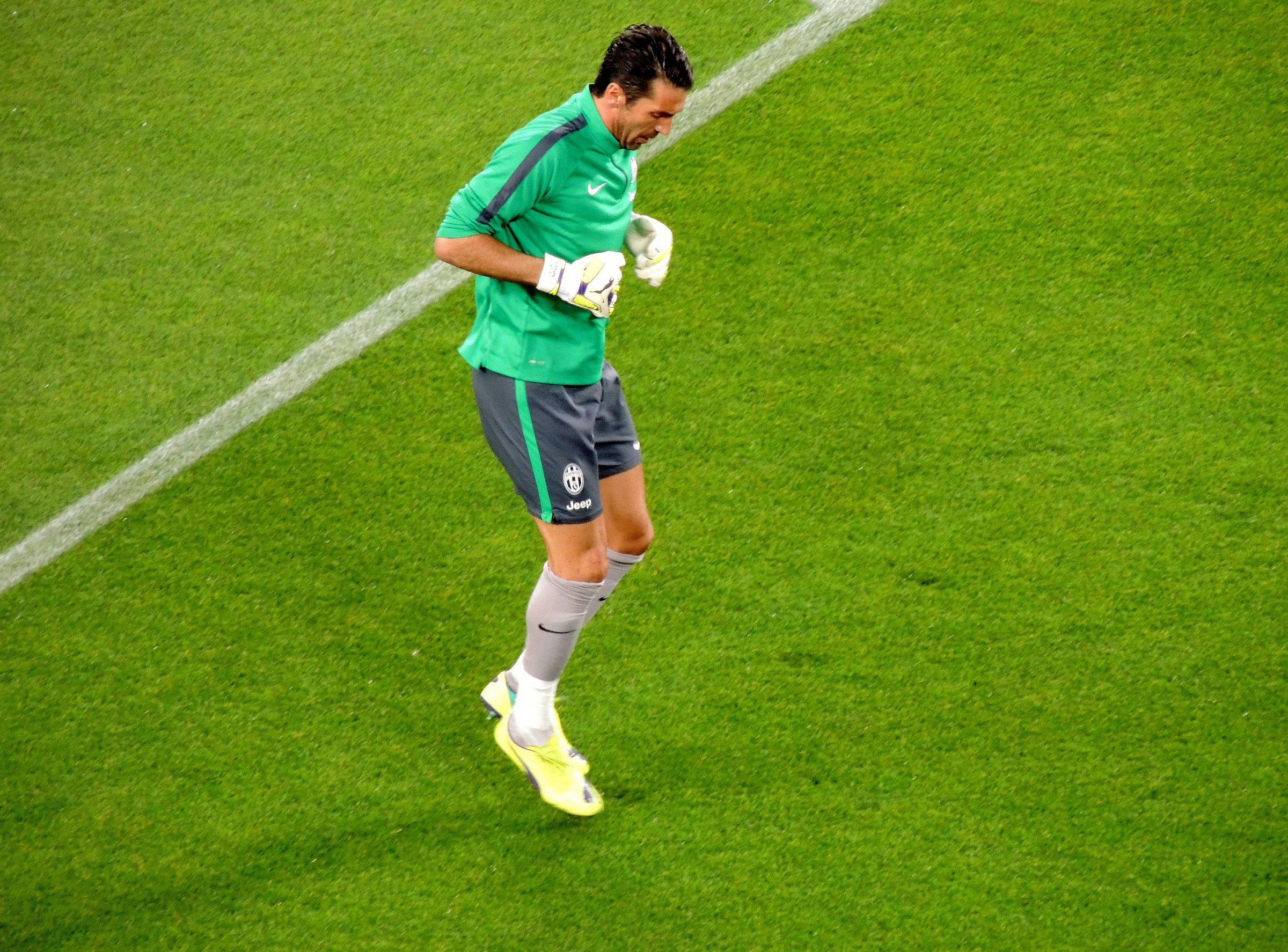Buffon