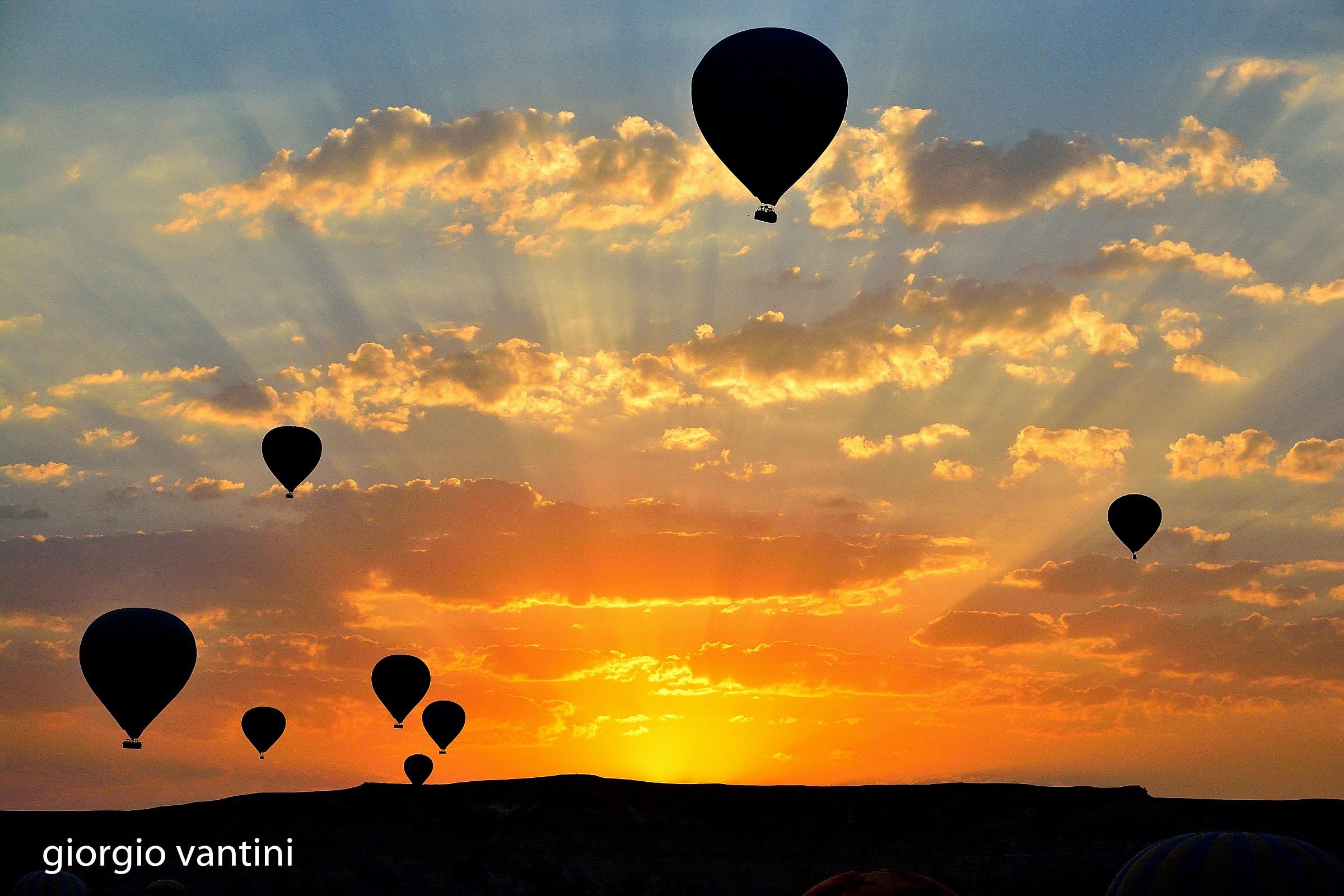 hot air balloons at dawn