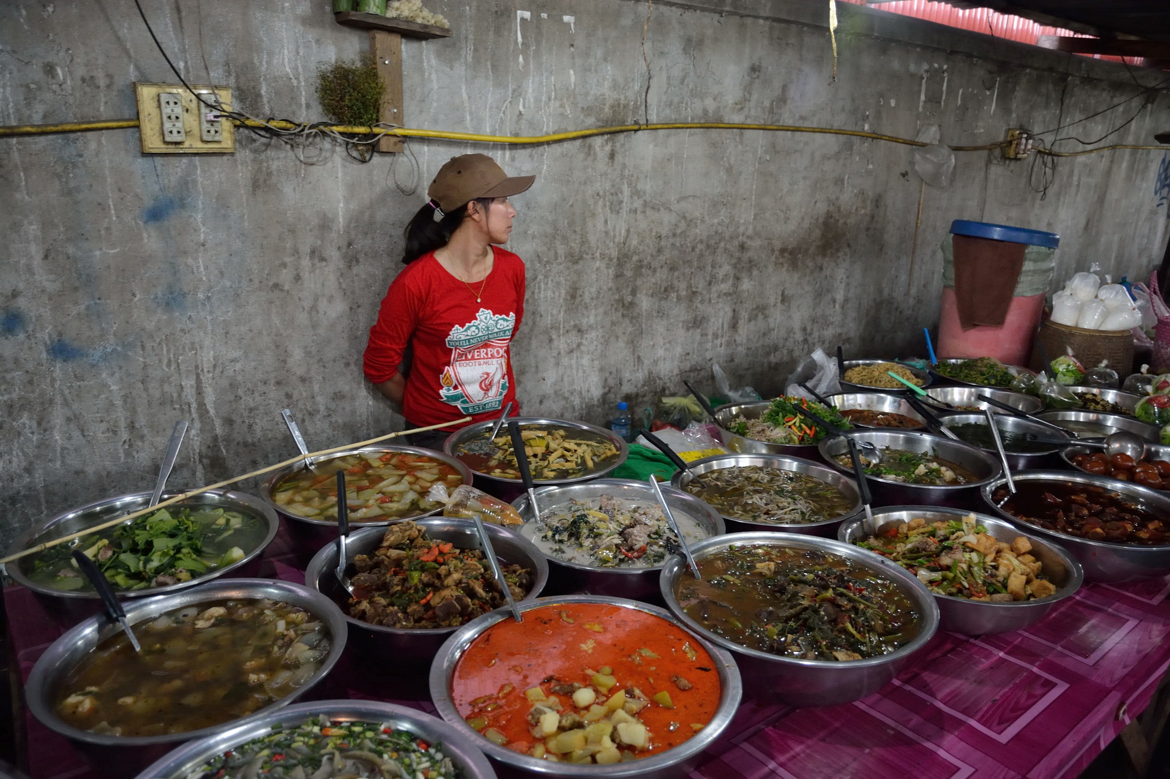 mercato degli insetti a luang prabang - laos
