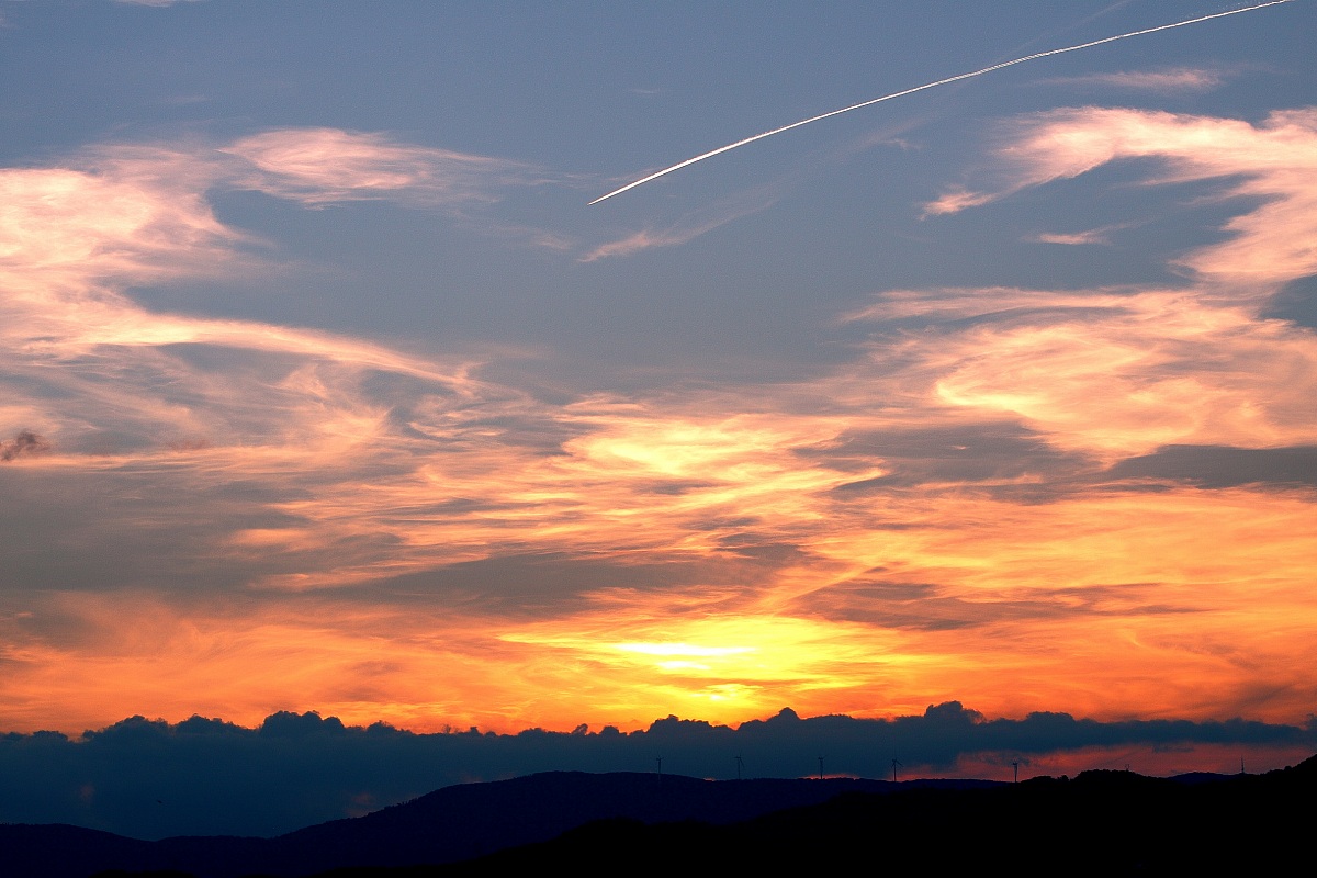 A flight on the sunset