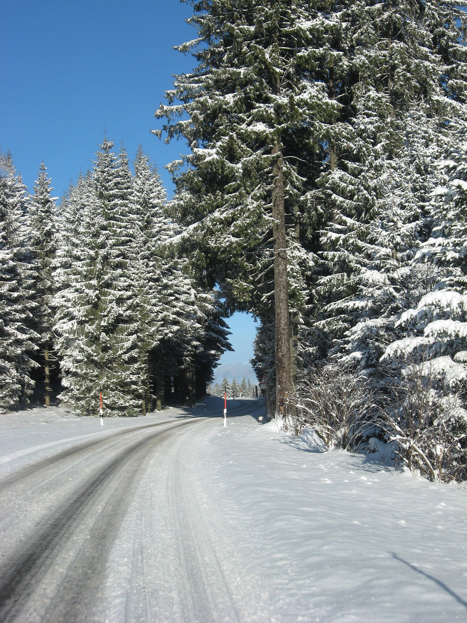 Black Forest snowy roads