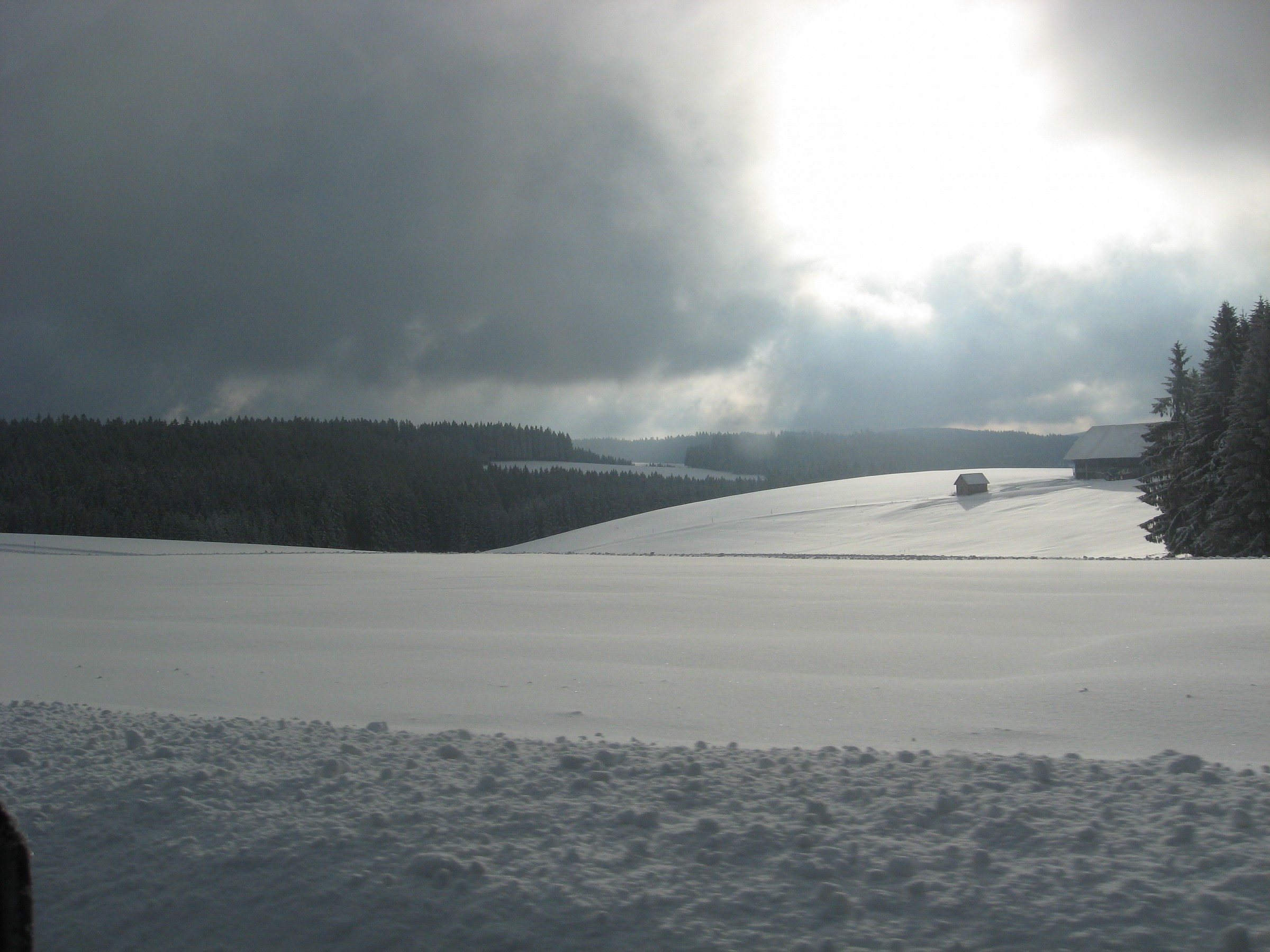 Black Forest snowy roads
