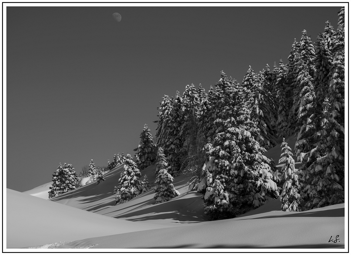 apettando il lungo inverno