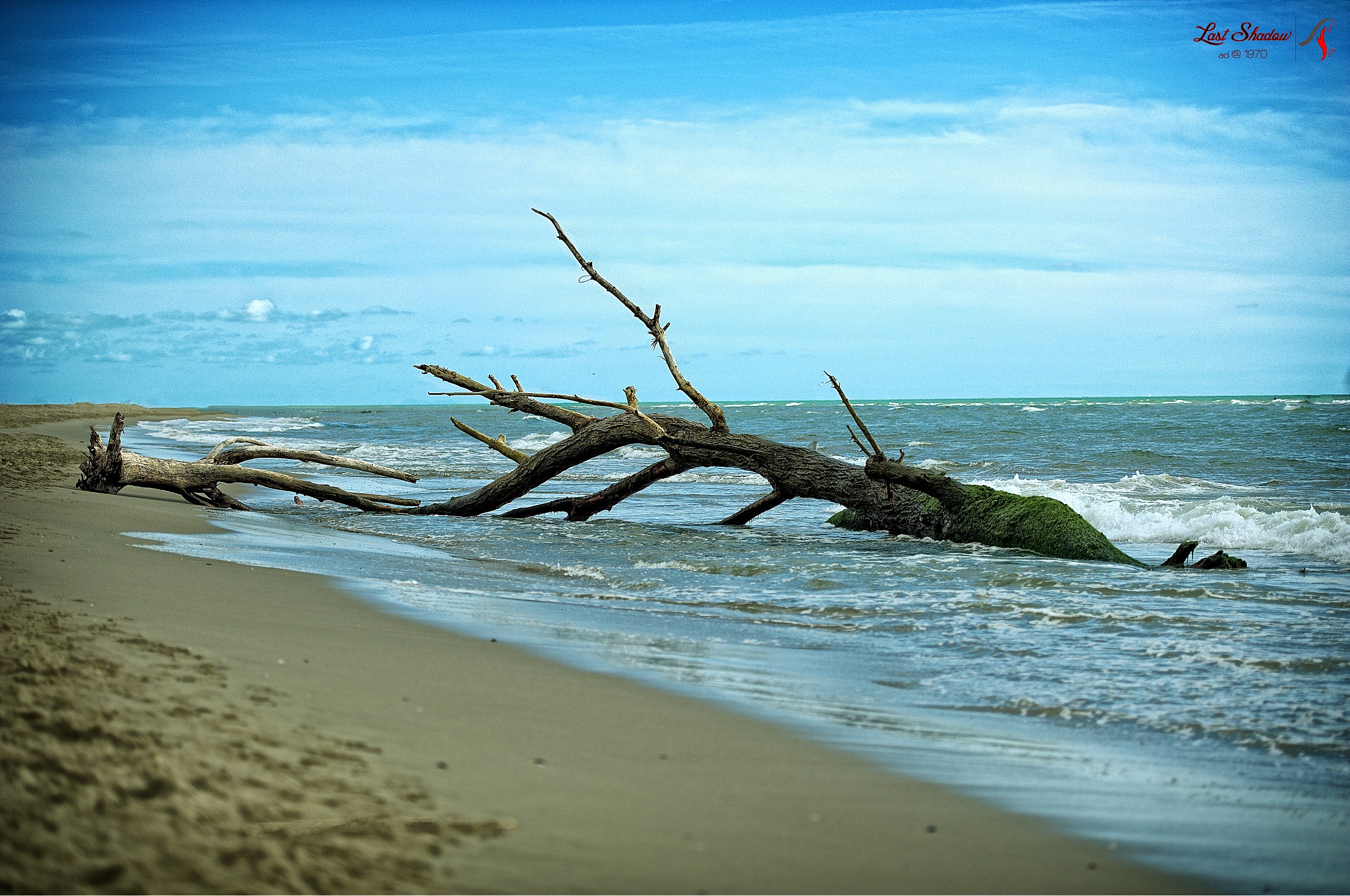 The strength of the Sea