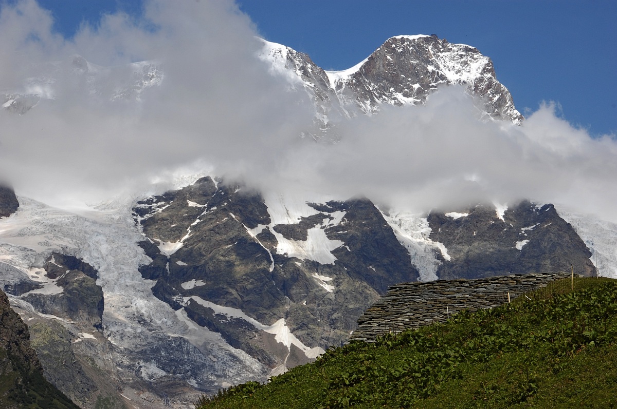 Alpe Campo inf . al cospetto  di sua Maestà