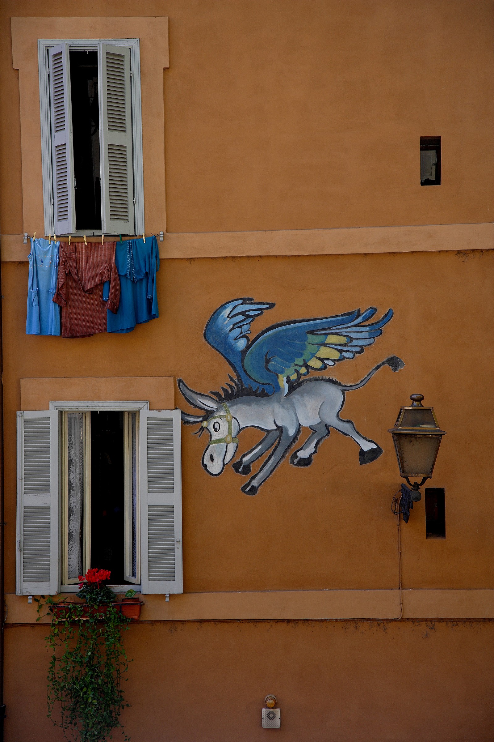 Roma, Lungotevere... di fronte al Palazzaccio