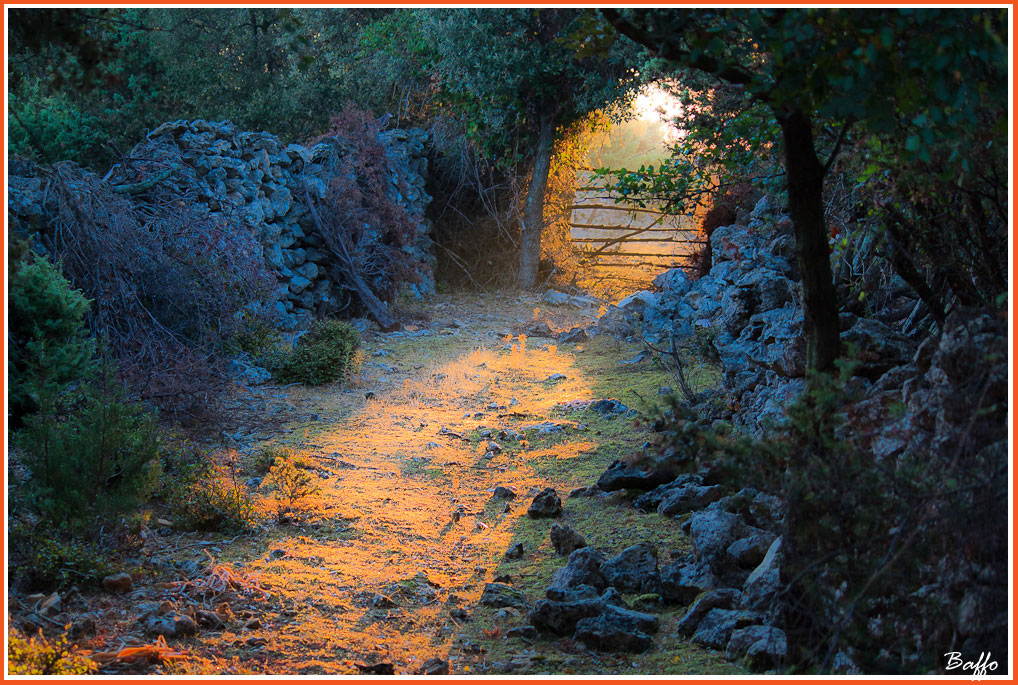 Watching the sunrise