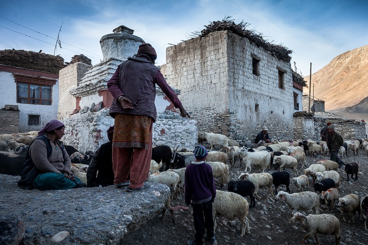 Valle dello Zanskar - Ladakh