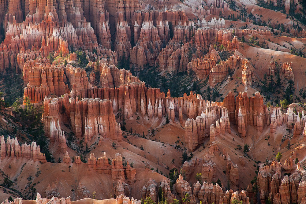 nei pressi del Bryce canyon