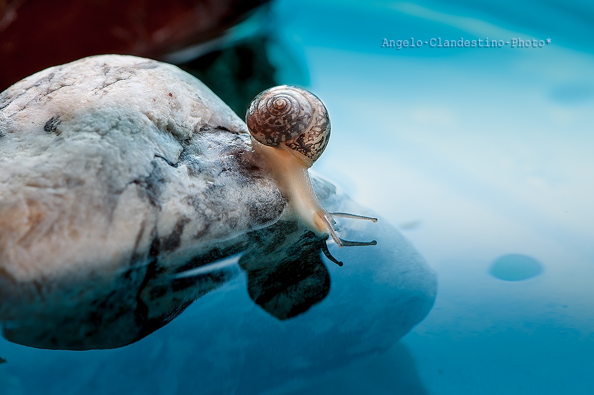 I do not ... I'll jump or throw !!!