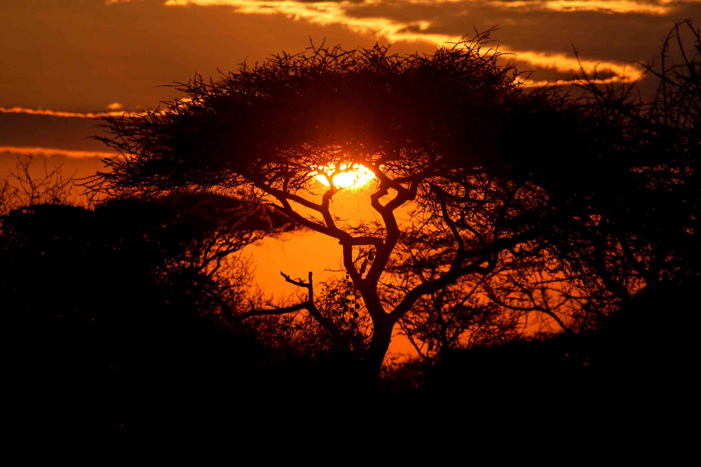 Un nuovo giorno nel Serengeti