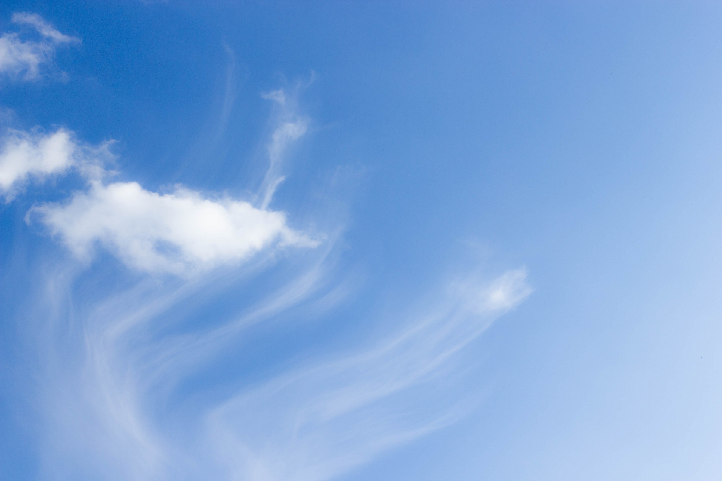 All hell broke loose