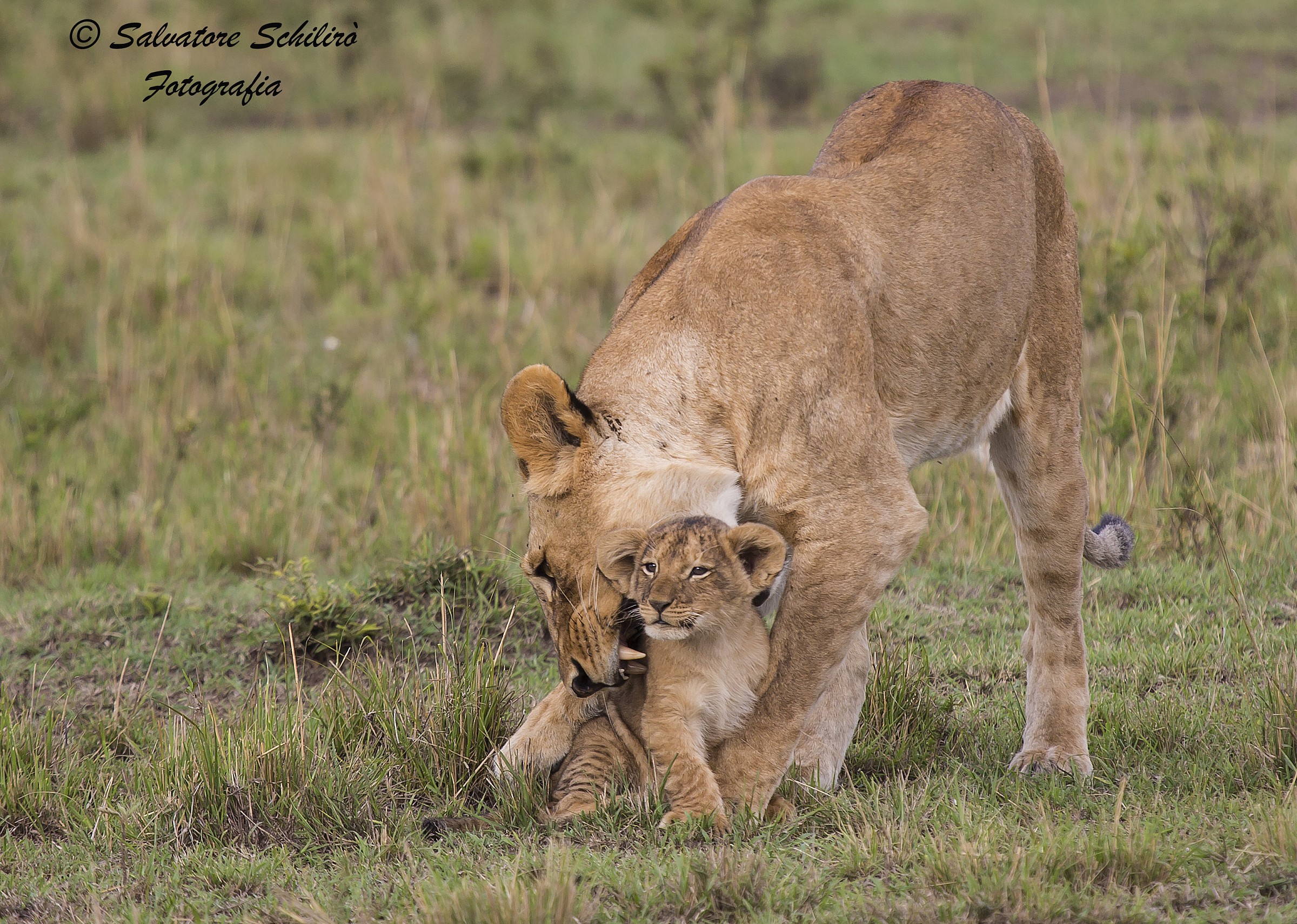 Ti mangerei....di baci