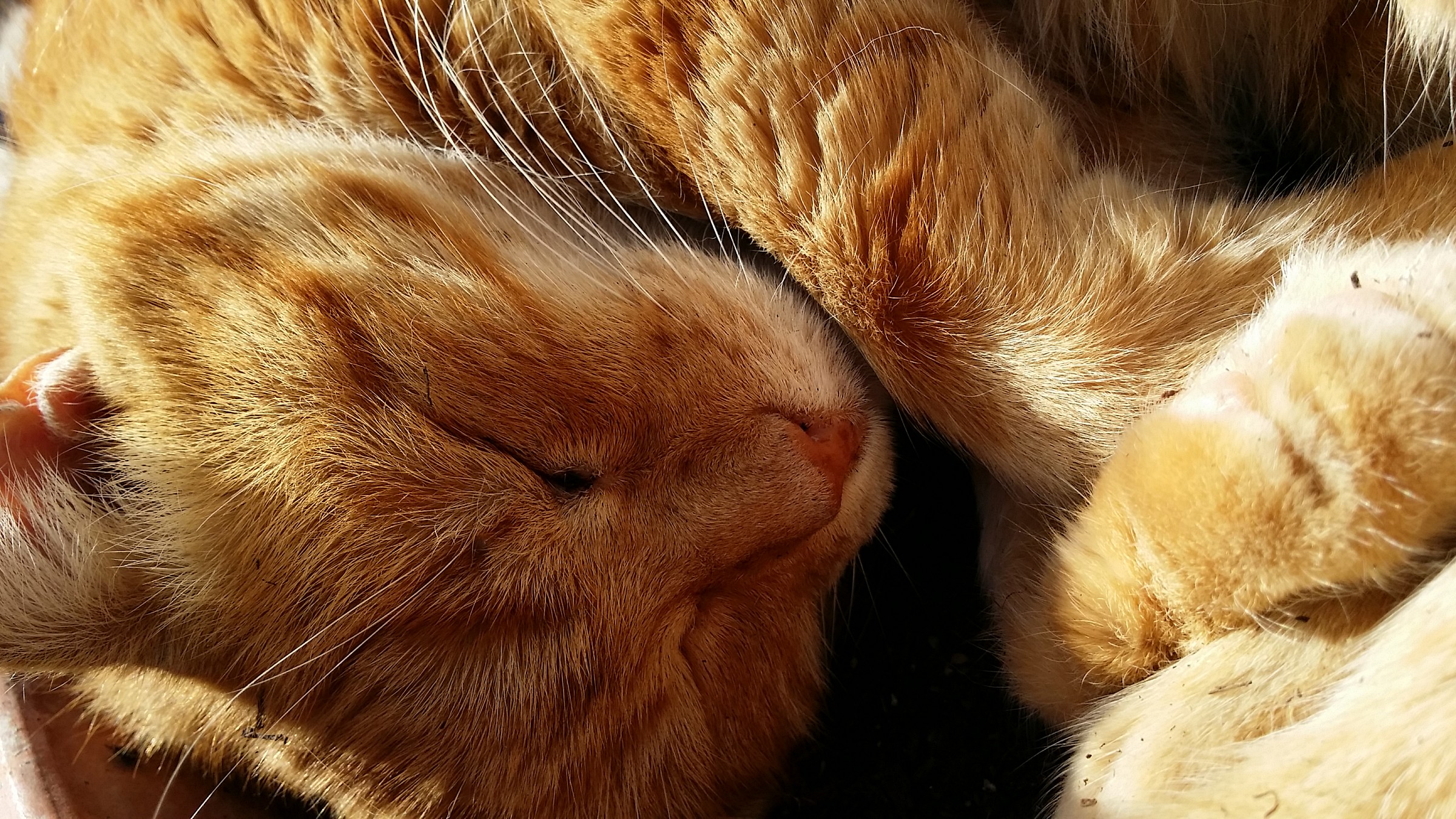 15 anni e non sentirli!