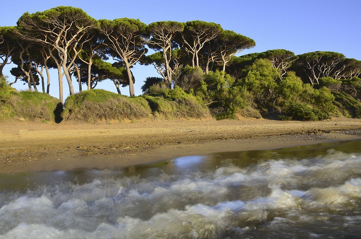 Le luci calde del tramonto - Golfo di Baratti