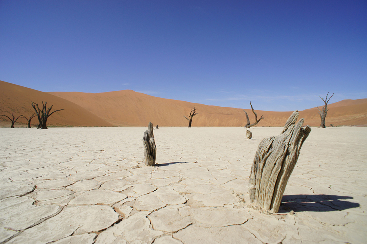 Dead Vlei