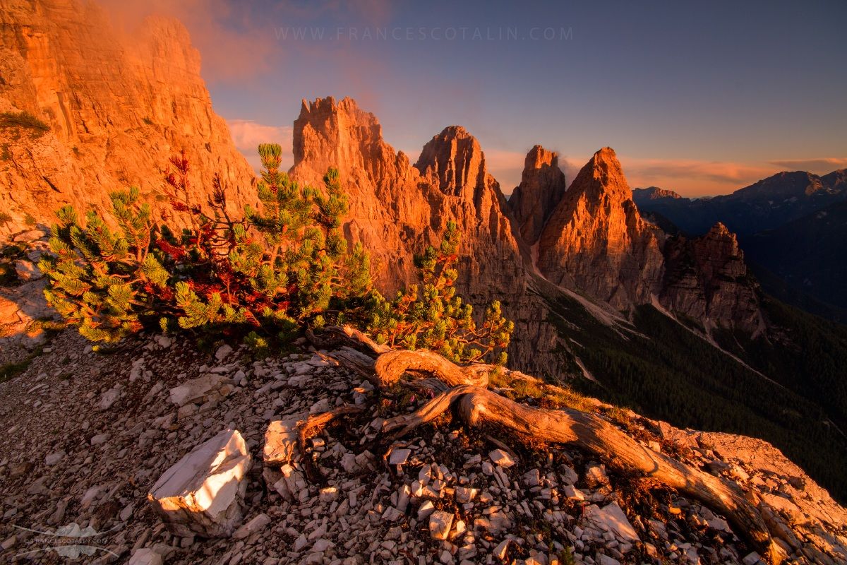 The light of the eternity