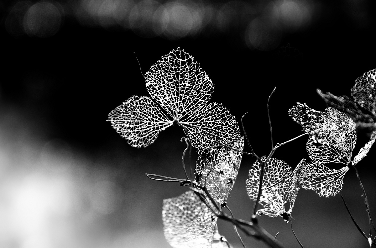 Quello che resta ........