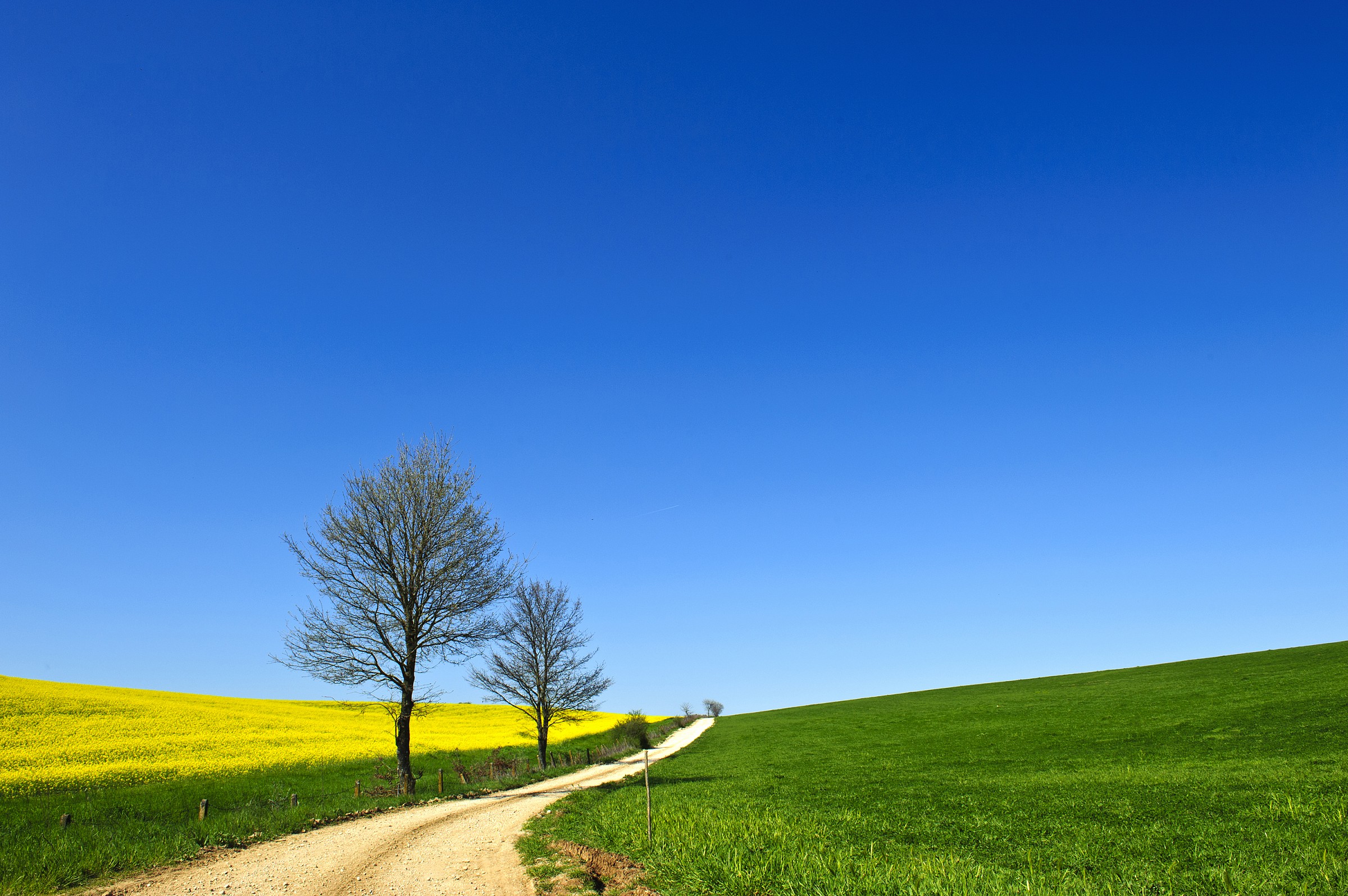 Giallo, verde e blu.