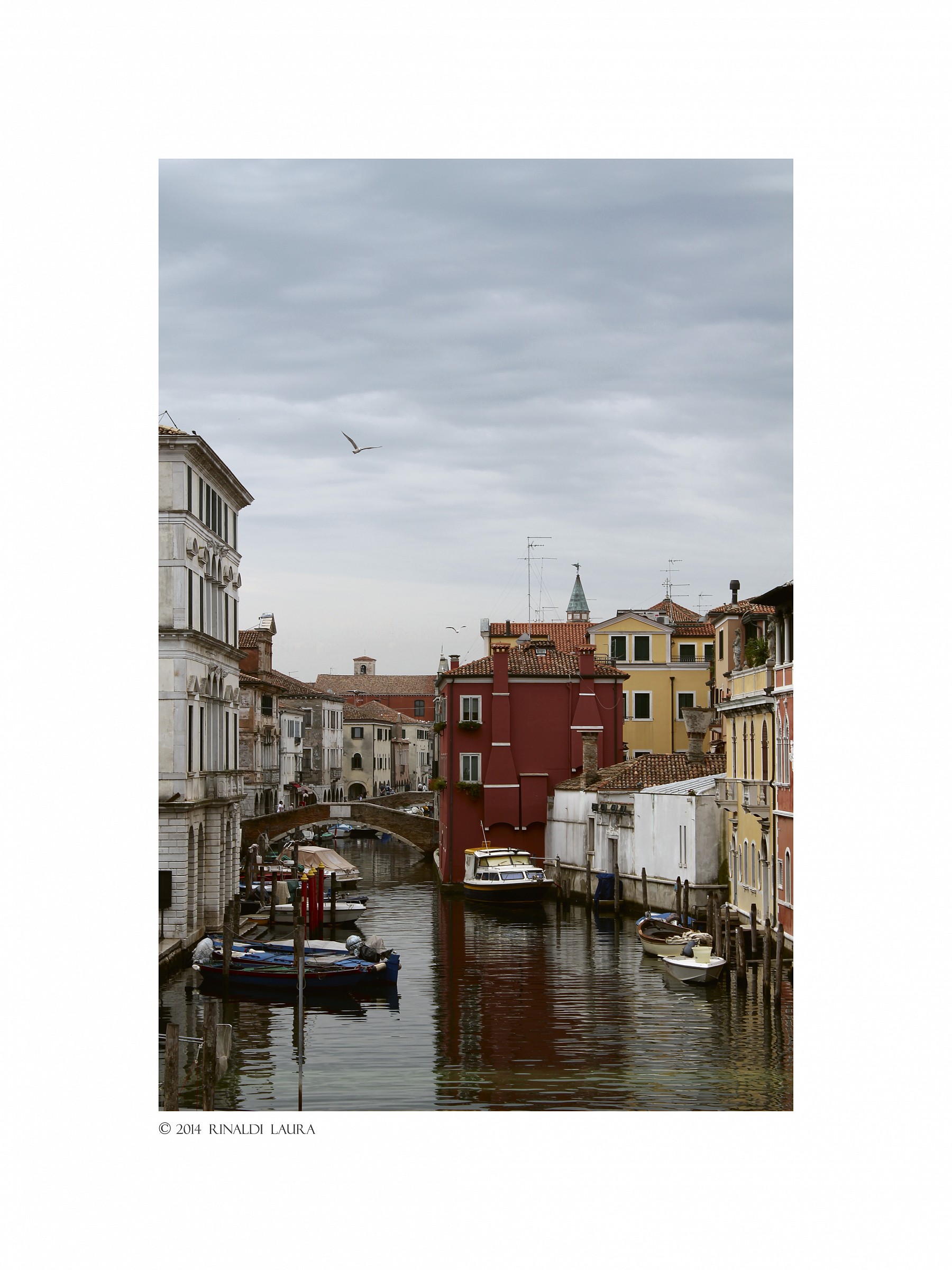 Chioggia